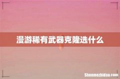 漫游稀有武器克隆选什么