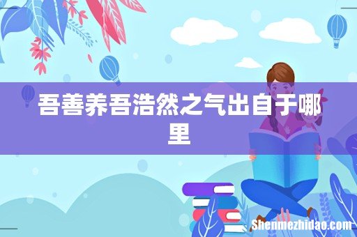 吾善养吾浩然之气出自于哪里