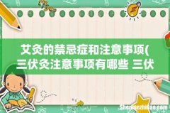 三伏灸注意事项有哪些 三伏灸的禁忌症 艾灸的禁忌症和注意事项