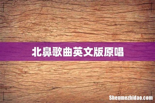 北鼻歌曲英文版原唱