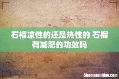石榴凉性的还是热性的 石榴有减肥的功效吗