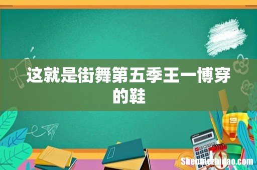 这就是街舞第五季王一博穿的鞋