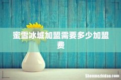 蜜雪冰城加盟需要多少加盟费