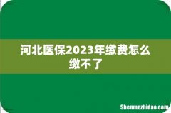 河北医保2023年缴费怎么缴不了