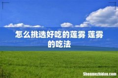 怎么挑选好吃的莲雾 莲雾的吃法