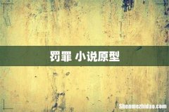 罚罪 小说原型