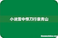小说雪中悍刀行袁青山