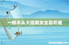 一根木头大结局女主喜欢谁