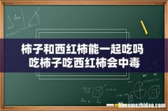 柿子和西红柿能一起吃吗 吃柿子吃西红柿会中毒