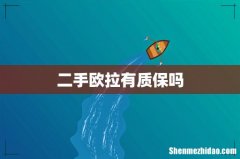 二手欧拉有质保吗