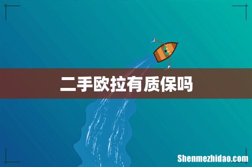 二手欧拉有质保吗