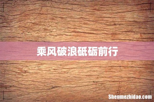乘风破浪砥砺前行