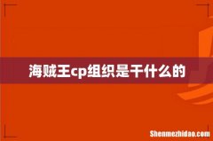 海贼王cp组织是干什么的