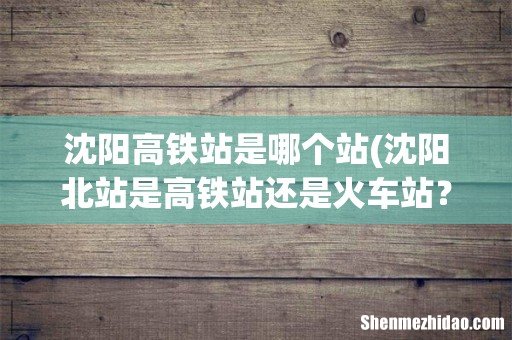 沈阳北站是高铁站还是火车站??? 沈阳高铁站是哪个站