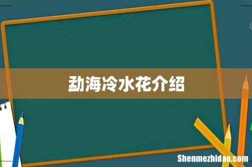 勐海冷水花介绍