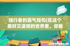 在这个美好又遗憾的世界里，你我皆是自远方而来的独行者 独行者的霸气短句