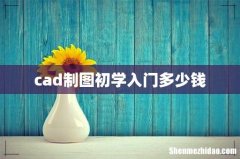 cad制图初学入门多少钱