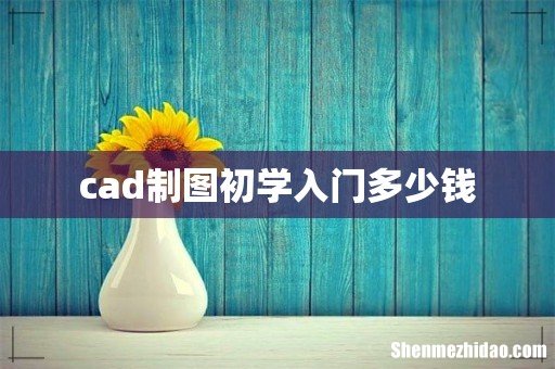cad制图初学入门多少钱