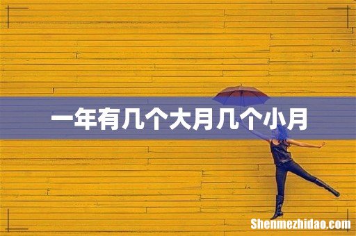 一年有几个大月几个小月