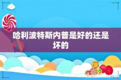 哈利波特斯内普是好的还是坏的