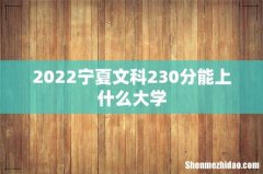2022宁夏文科230分能上什么大学