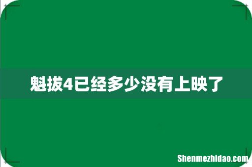 魁拔4已经多少没有上映了
