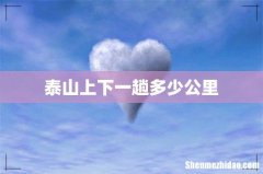 泰山上下一趟多少公里