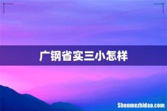 广钢省实三小怎样