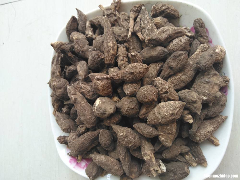 药厂的附子怎么炮制 药厂的附子怎么炮制好