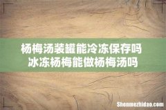 杨梅汤装罐能冷冻保存吗 冰冻杨梅能做杨梅汤吗