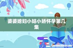 婆婆媳妇小姑小娇怀孕第几集