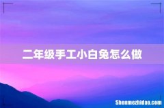 二年级手工小白兔怎么做