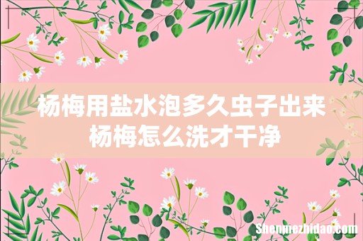 杨梅用盐水泡多久虫子出来 杨梅怎么洗才干净