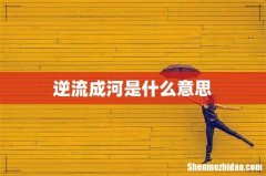 逆流成河是什么意思