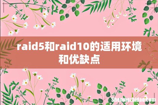 raid5和raid10的适用环境和优缺点