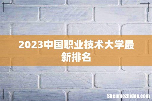 2023中国职业技术大学最新排名