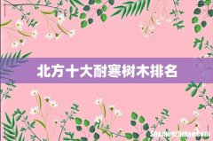 北方十大耐寒树木排名