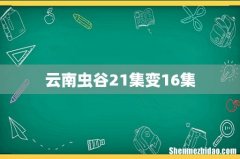 云南虫谷21集变16集