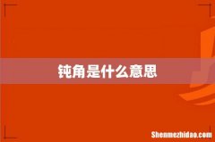 钝角是什么意思