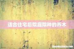 适合住宅后院庭院种的乔木