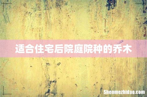 适合住宅后院庭院种的乔木