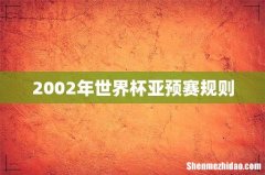 2002年世界杯亚预赛规则