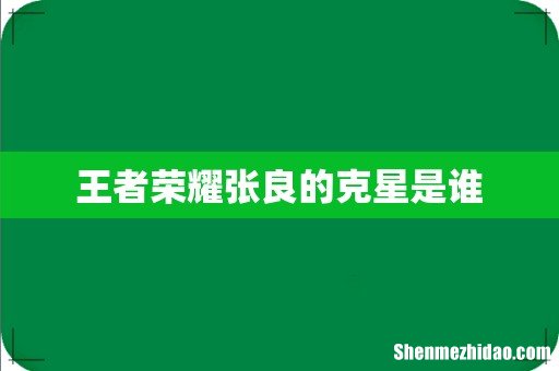 王者荣耀张良的克星是谁
