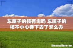车厘子的核有毒吗 车厘子的核不小心吞下去了怎么办