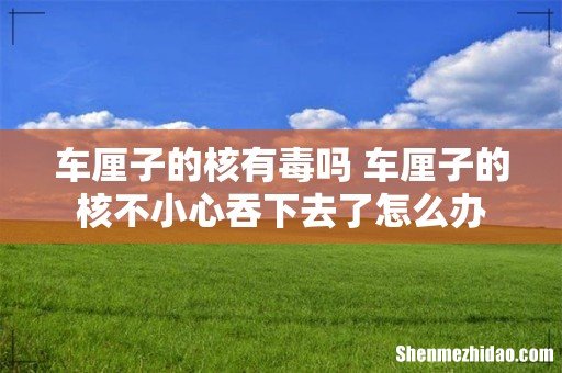 车厘子的核有毒吗 车厘子的核不小心吞下去了怎么办