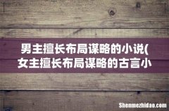 女主擅长布局谋略的古言小说 男主擅长布局谋略的小说