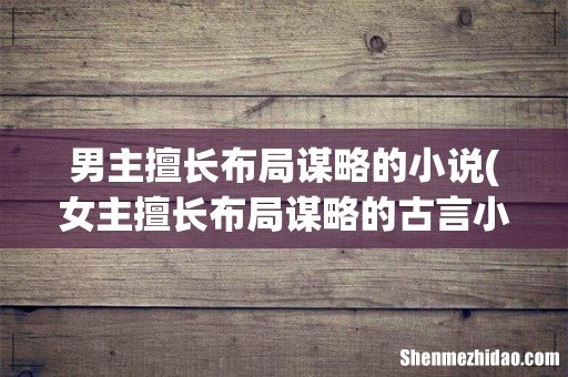 女主擅长布局谋略的古言小说 男主擅长布局谋略的小说