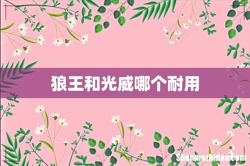 狼王和光威哪个耐用