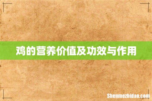 鸡的营养价值及功效与作用