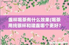 喝茶用纯银杯和建盏哪个更好？ 盏杯喝茶有什么效果